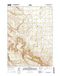 Acty Mountain NW Oregon Current topographic map, 1:24000 scale, 7.5 X 7.5 Minute, Year 2014