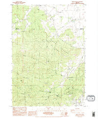Airlie South Oregon Historical topographic map, 1:24000 scale, 7.5 X 7.5 Minute, Year 1984