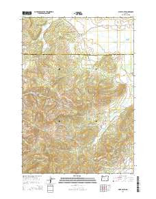 Airlie South Oregon Current topographic map, 1:24000 scale, 7.5 X 7.5 Minute, Year 2014
