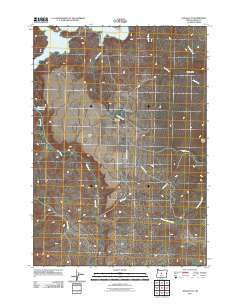 Alkali Flat Oregon Historical topographic map, 1:24000 scale, 7.5 X 7.5 Minute, Year 2011