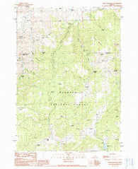 Alsup Mountain Oregon Historical topographic map, 1:24000 scale, 7.5 X 7.5 Minute, Year 1990