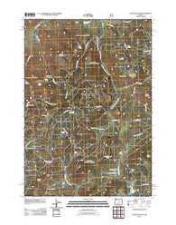 Alsup Mountain Oregon Historical topographic map, 1:24000 scale, 7.5 X 7.5 Minute, Year 2011