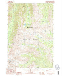 Aneroid Mountain Oregon Historical topographic map, 1:24000 scale, 7.5 X 7.5 Minute, Year 1990