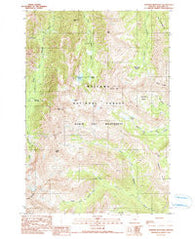 Aneroid Mountain Oregon Historical topographic map, 1:24000 scale, 7.5 X 7.5 Minute, Year 1990