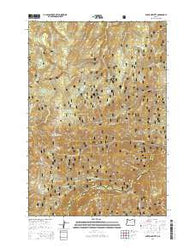 Anthony Butte Oregon Current topographic map, 1:24000 scale, 7.5 X 7.5 Minute, Year 2014
