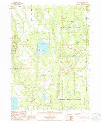 Antler Point Oregon Historical topographic map, 1:24000 scale, 7.5 X 7.5 Minute, Year 1988