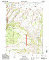 Arrowwood Point Oregon Historical topographic map, 1:24000 scale, 7.5 X 7.5 Minute, Year 1992