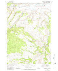 Arrowwood Point Oregon Historical topographic map, 1:24000 scale, 7.5 X 7.5 Minute, Year 1982