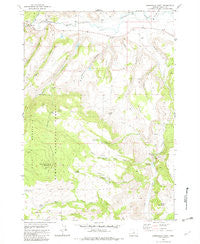 Arrowwood Point Oregon Historical topographic map, 1:24000 scale, 7.5 X 7.5 Minute, Year 1982