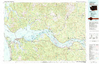 Astoria Oregon Historical topographic map, 1:100000 scale, 30 X 60 Minute, Year 1981