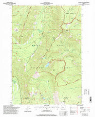 Badger Lake Oregon Historical topographic map, 1:24000 scale, 7.5 X 7.5 Minute, Year 1996
