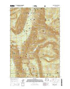 Badger Lake Oregon Current topographic map, 1:24000 scale, 7.5 X 7.5 Minute, Year 2014