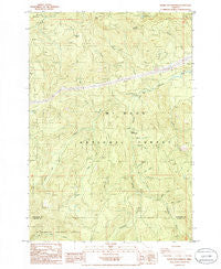 Bagby Hot Springs Oregon Historical topographic map, 1:24000 scale, 7.5 X 7.5 Minute, Year 1985