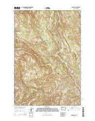 Baker Point Oregon Current topographic map, 1:24000 scale, 7.5 X 7.5 Minute, Year 2014