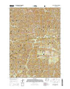 Baldy Mountain Oregon Current topographic map, 1:24000 scale, 7.5 X 7.5 Minute, Year 2014