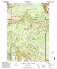 Bally Mountain Oregon Historical topographic map, 1:24000 scale, 7.5 X 7.5 Minute, Year 1995
