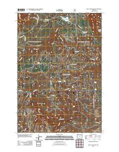 Bally Mountain Oregon Historical topographic map, 1:24000 scale, 7.5 X 7.5 Minute, Year 2011
