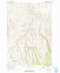 Balm Canyon Oregon Historical topographic map, 1:24000 scale, 7.5 X 7.5 Minute, Year 1969