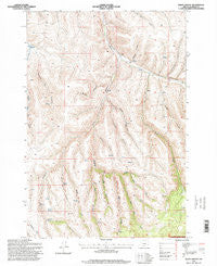 Balm Canyon Oregon Historical topographic map, 1:24000 scale, 7.5 X 7.5 Minute, Year 1995