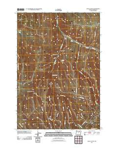 Balm Canyon Oregon Historical topographic map, 1:24000 scale, 7.5 X 7.5 Minute, Year 2011