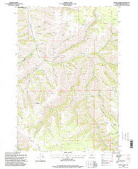 Bassey Creek Oregon Historical topographic map, 1:24000 scale, 7.5 X 7.5 Minute, Year 1996