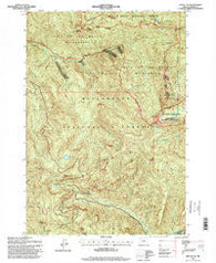 Battle Ax Oregon Historical topographic map, 1:24000 scale, 7.5 X 7.5 Minute, Year 1994