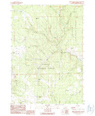 Bear Canyon Butte Oregon Historical topographic map, 1:24000 scale, 7.5 X 7.5 Minute, Year 1990