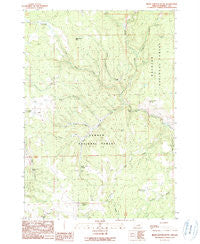 Bear Canyon Butte Oregon Historical topographic map, 1:24000 scale, 7.5 X 7.5 Minute, Year 1990