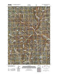 Bear Canyon Butte Oregon Historical topographic map, 1:24000 scale, 7.5 X 7.5 Minute, Year 2011