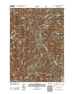 Bearbones Mountain Oregon Historical topographic map, 1:24000 scale, 7.5 X 7.5 Minute, Year 2011