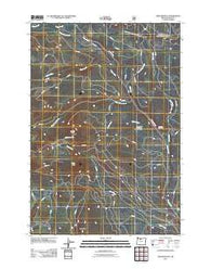 Beaver Butte Oregon Historical topographic map, 1:24000 scale, 7.5 X 7.5 Minute, Year 2011