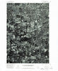 Beaverton Oregon Historical topographic map, 1:24000 scale, 7.5 X 7.5 Minute, Year 1975