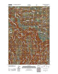 Bedford Point Oregon Historical topographic map, 1:24000 scale, 7.5 X 7.5 Minute, Year 2011