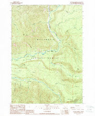 Belknap Springs Oregon Historical topographic map, 1:24000 scale, 7.5 X 7.5 Minute, Year 1989