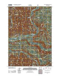 Belknap Springs Oregon Historical topographic map, 1:24000 scale, 7.5 X 7.5 Minute, Year 2011
