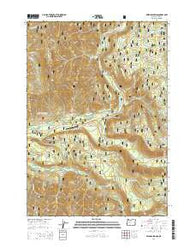 Belknap Springs Oregon Current topographic map, 1:24000 scale, 7.5 X 7.5 Minute, Year 2014