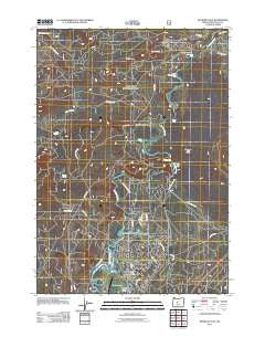 Benham Falls Oregon Historical topographic map, 1:24000 scale, 7.5 X 7.5 Minute, Year 2011