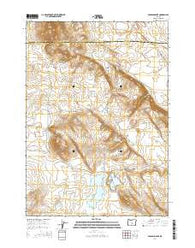 Benjamin Lake Oregon Current topographic map, 1:24000 scale, 7.5 X 7.5 Minute, Year 2014