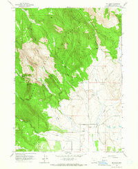 Big Baldy Oregon Historical topographic map, 1:24000 scale, 7.5 X 7.5 Minute, Year 1964