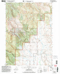Big Baldy Oregon Historical topographic map, 1:24000 scale, 7.5 X 7.5 Minute, Year 2004