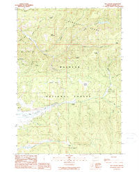 Big Canyon Oregon Historical topographic map, 1:24000 scale, 7.5 X 7.5 Minute, Year 1990