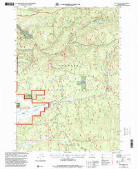 Big Canyon Oregon Historical topographic map, 1:24000 scale, 7.5 X 7.5 Minute, Year 1998