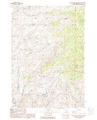 Big Lookout Mountain Oregon Historical topographic map, 1:24000 scale, 7.5 X 7.5 Minute, Year 1988