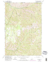 Big Meadows Oregon Historical topographic map, 1:24000 scale, 7.5 X 7.5 Minute, Year 1963