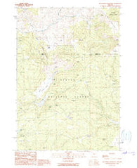 Big Mowich Mountain Oregon Historical topographic map, 1:24000 scale, 7.5 X 7.5 Minute, Year 1990