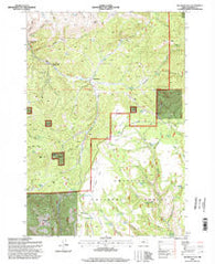 Big Rock Flat Oregon Historical topographic map, 1:24000 scale, 7.5 X 7.5 Minute, Year 1995