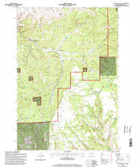 Big Rock Flat Oregon Historical topographic map, 1:24000 scale, 7.5 X 7.5 Minute, Year 1995