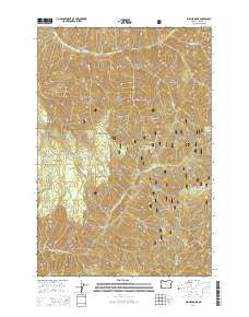 Big Meadows Oregon Current topographic map, 1:24000 scale, 7.5 X 7.5 Minute, Year 2014