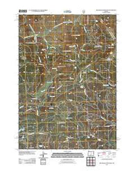 Big Mowich Mountain Oregon Historical topographic map, 1:24000 scale, 7.5 X 7.5 Minute, Year 2011