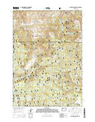Big Mowich Mountain Oregon Current topographic map, 1:24000 scale, 7.5 X 7.5 Minute, Year 2014